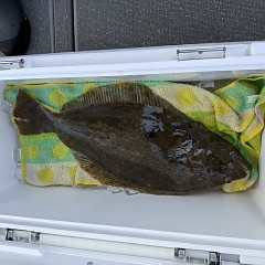 1月10日（土）午前便・泳がせ釣りの写真その7