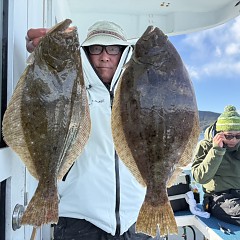 1月 11日（日）一日便・泳がせ釣りの写真その2