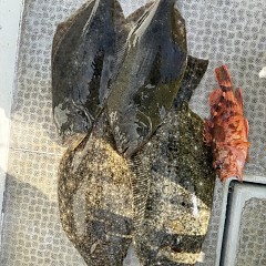 1月 11日（日）一日便・泳がせ釣りの写真その10