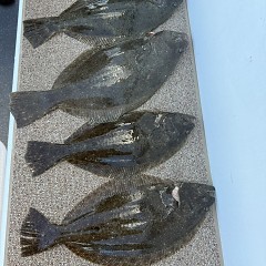 1月11日（日）午前便・泳がせ釣りの写真その9