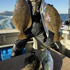 1月12日（月）一日便泳がせ釣りの写真その3