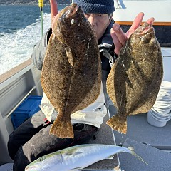 1月12日（月）一日便泳がせ釣りの写真その11