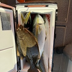 1月12日（月）一日便泳がせ釣りの写真その12