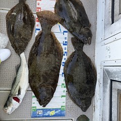 1月 13日（火）一日便・泳がせ釣りの写真その9