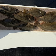 1月14日（水）一日便泳がせ釣りの写真その10