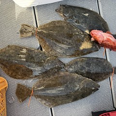 1月14日（水）一日便泳がせ釣りの写真その11