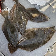 1月14日（水）一日便泳がせ釣りの写真その12