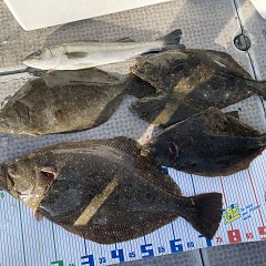 1月 16日（金）一日便・泳がせ釣りの写真その12