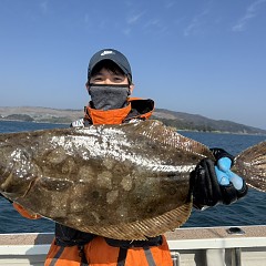 1月16日（金）午前便・泳がせ釣りの写真その5