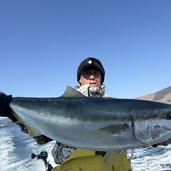 1月 17日（土）一日便・泳がせ釣りの写真その7