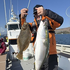 1月17日（土）一日便泳がせ釣りの写真その3