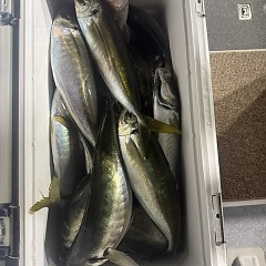 1月18日（日）午後便・アジ釣りの写真その8