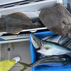 1月 20日（火）一日便・泳がせ釣りの写真その10