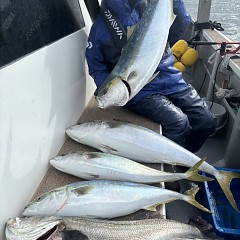 1月 20日（火）一日便・泳がせ釣りの写真その7