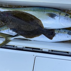 1月 21日（水）一日便・泳がせ釣りの写真その10