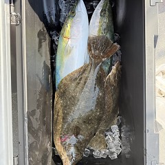 1月24日(土)午前便・泳がせ釣りの写真その7