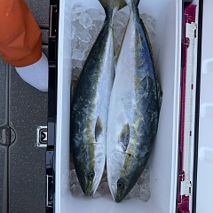 1月24日(土)午前便・泳がせ釣りの写真その9