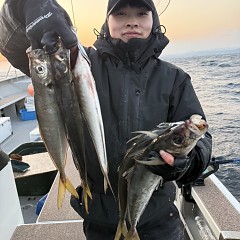 1月24日(土)午後便・アジ釣りの写真その2