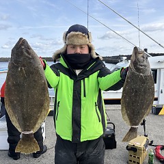 1月26日(月)一日便・泳がせ釣りの写真その2