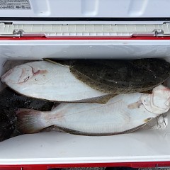 1月26日(月)一日便・泳がせ釣りの写真その9