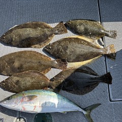 1月27日（火）午前便・泳がせ釣りの写真その4