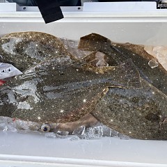 1月27日（火）午前便・泳がせ釣りの写真その6