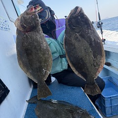 1月 27日(火)一日便・泳がせ釣りの写真その4