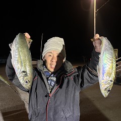 1月27日（火）午後便・アジ釣りの写真その1