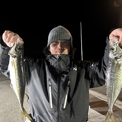 1月27日（火）午後便・アジ釣りの写真その2