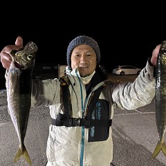 1月27日（火）午後便・アジ釣りの写真その3