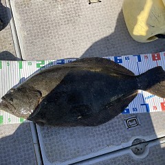 1月 30日（金）一日便・泳がせ釣りの写真その11