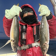 1月30日（金）午後便・アジ釣りの写真その1