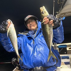 1月30日（金）午後便・アジ釣りの写真その2