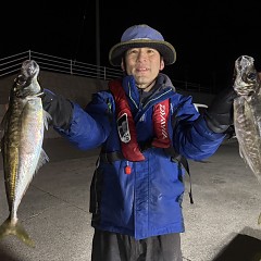 1月30日（金）午後便・アジ釣りの写真その4