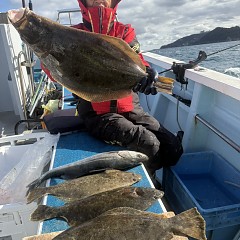 1月 31日(土)一日便・泳がせ釣りの写真その5