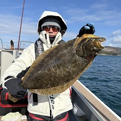 1月31日(土)午前便・泳がせ釣りの写真その4