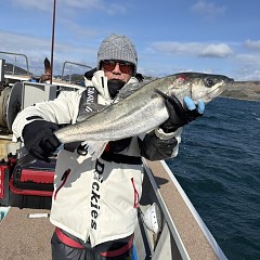1月31日(土)午前便・泳がせ釣りの写真その7