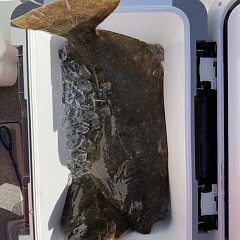 1月31日(土)午前便・泳がせ釣りの写真その9