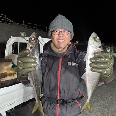 1月31日(土)午後便・アジ釣りの写真その1
