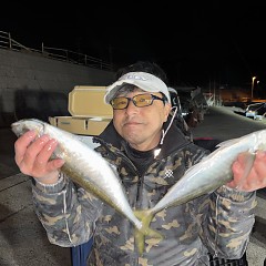1月31日(土)午後便・アジ釣りの写真その2