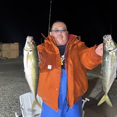 1月31日(土)午後便・アジ釣りの写真その4