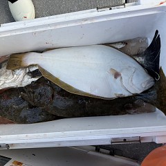 2月 1日（日）午前便・泳がせ釣りの写真その8