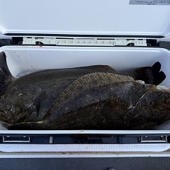 2月 1日（日）午前便・泳がせ釣りの写真その9