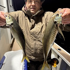 2月 1日（日）午後便・アジ釣りの写真その3