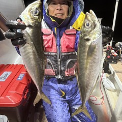 2月 1日（日）午後便・アジ釣りの写真その4