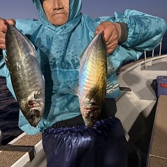 2月 1日（日）午後便・アジ釣りの写真その5