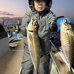 2月 1日（日）午後便・アジ釣りの写真その7