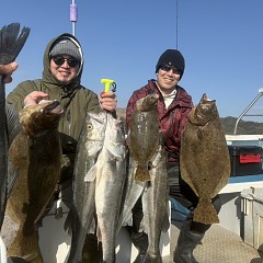 2月 1日（日）一日便・泳がせ釣りの写真その1