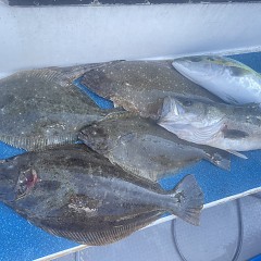 2月 2日（月）午前便・泳がせ釣りの写真その1