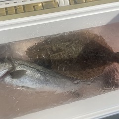 2月 2日（月）午前便・泳がせ釣りの写真その4